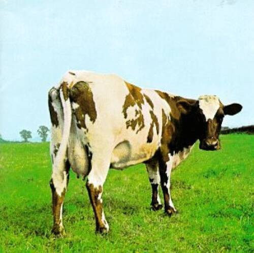 Atom heart mother audio cd - mother,